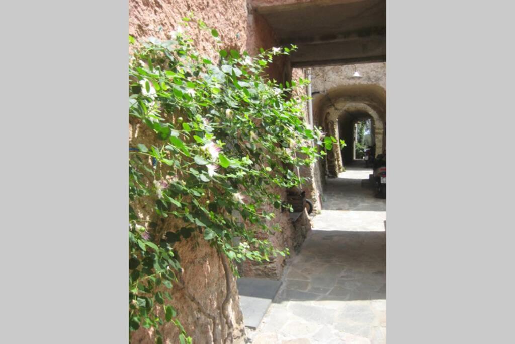 La Casa Di Sandra A Noli Villa Exterior foto
