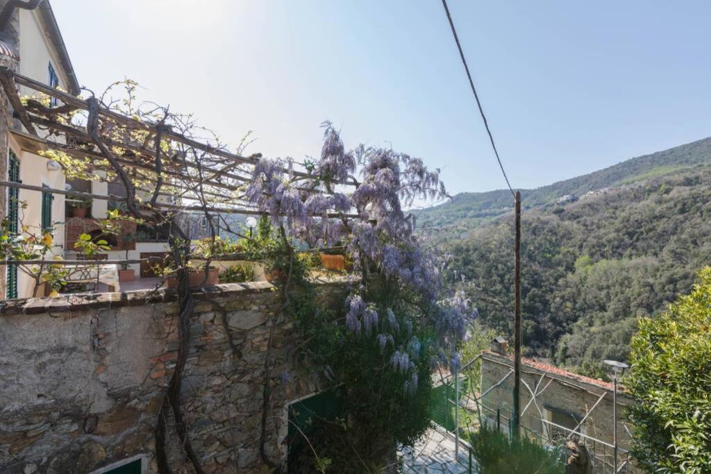 La Casa Di Sandra A Noli Villa Exterior foto