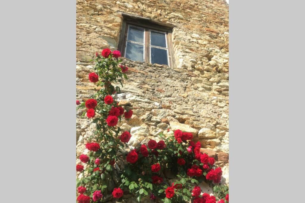 La Casa Di Sandra A Noli Villa Exterior foto
